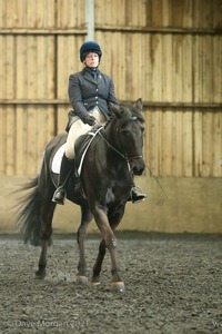 Isis Dressage Crown Farm Show 29th April 2012